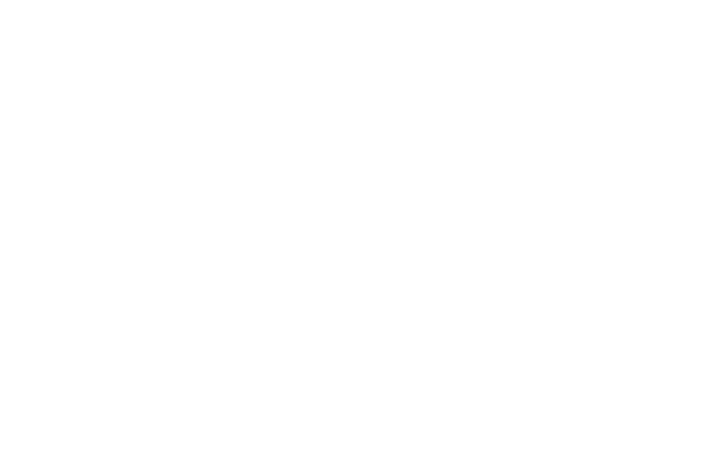 Boston Chimney Sweep